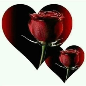 Meet your Posher, Hanin